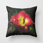 pillow joan glorious-red-daylily-pillows.jpg